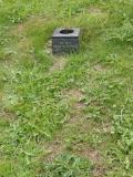 image of grave number 684105